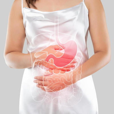 Digestive Support