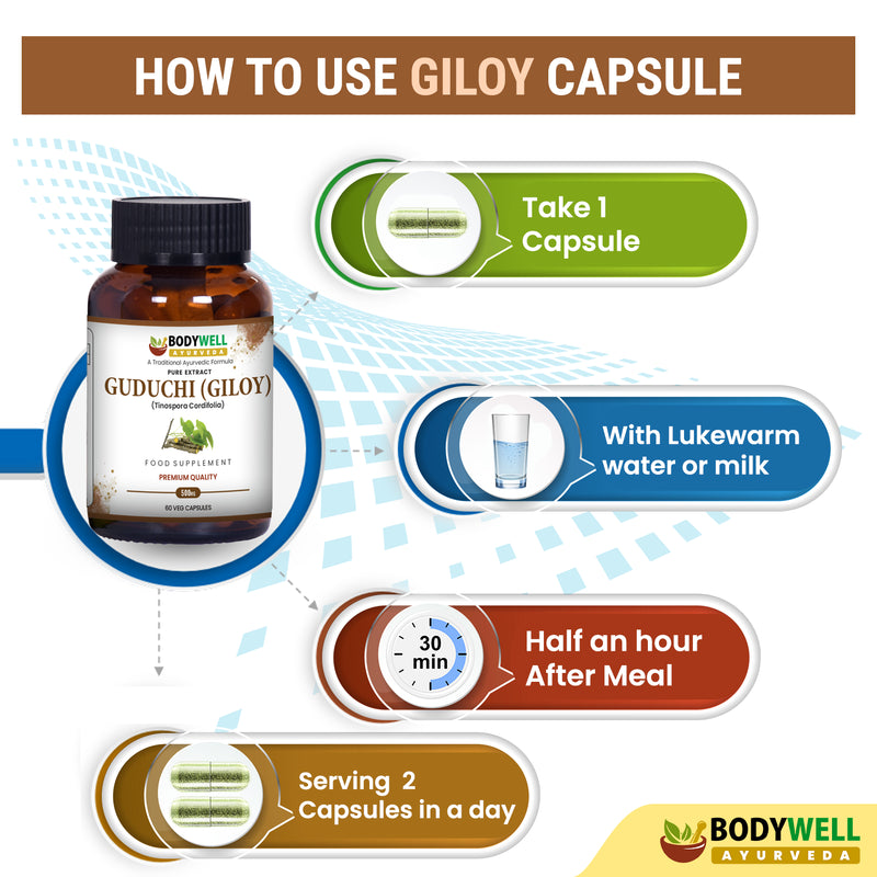 Giloy 500mg - 60 vegan kapslit