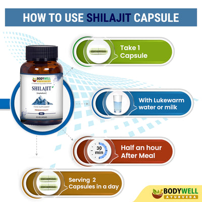 Shilajit 500mg - 60 vegan kapslit