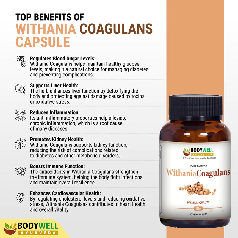Withania Coagulans 500mg - 60 Vegan Capsules